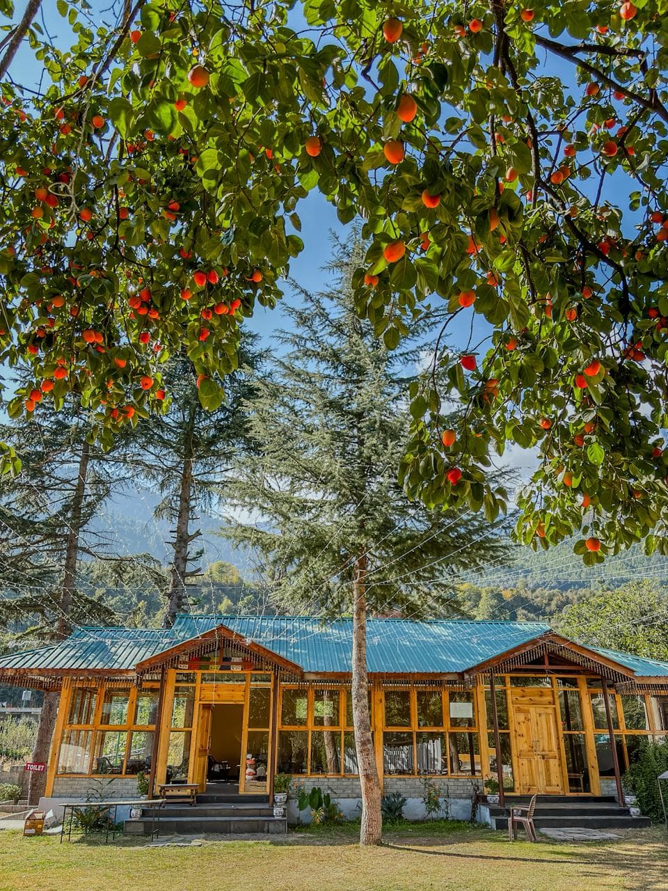 Riverside view at Ballu's Resort